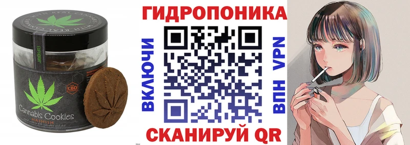 Купить закладки  Борзя  Canna-Cookies конопля 
