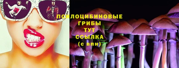 винт Баксан