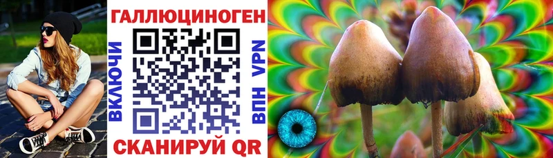 Галлюциногенные грибы ЛСД  Купить  Борзя 